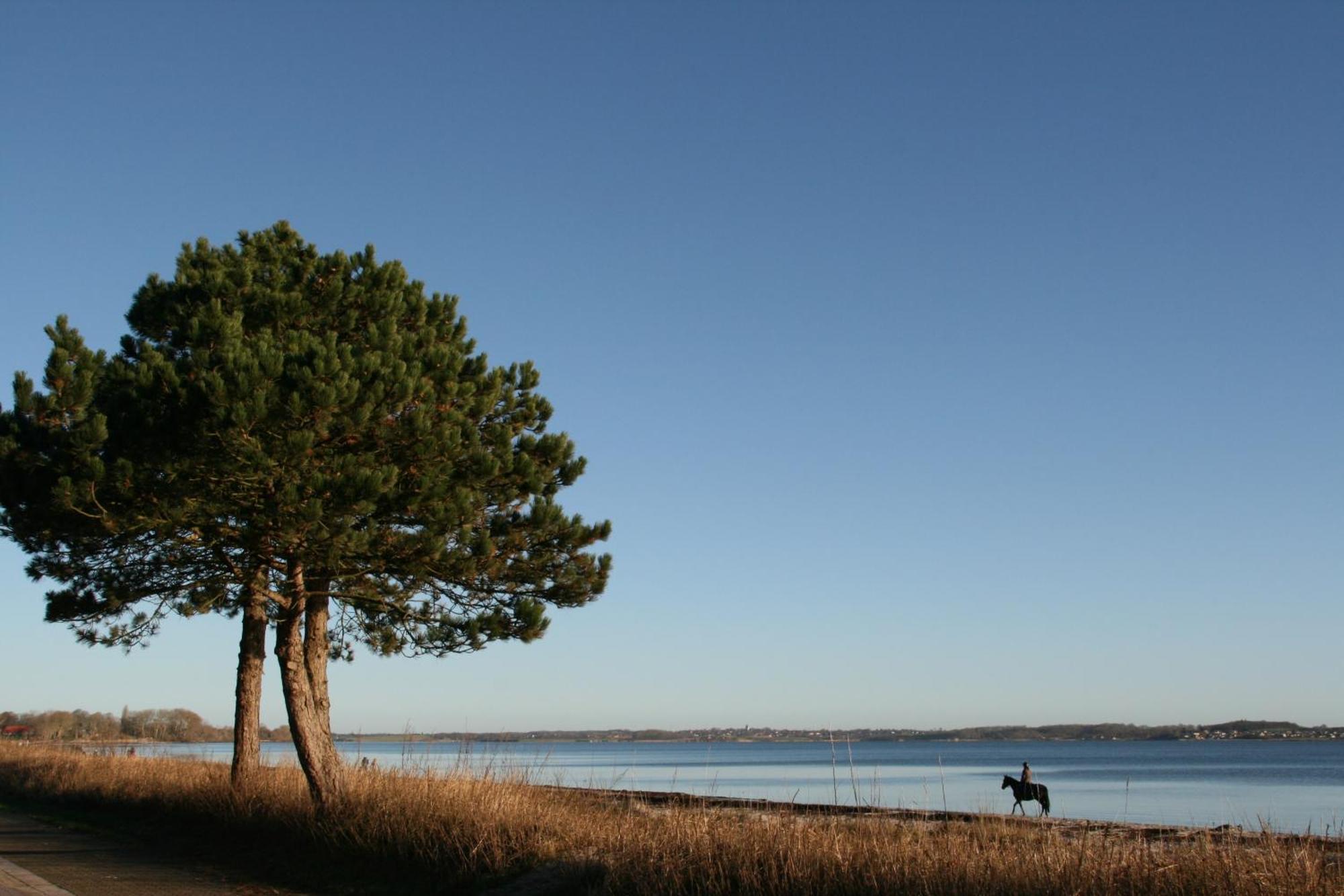 Ostsee-Strandhaus-Holnis Glucksburg Bagian luar foto